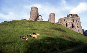 Clun Castle