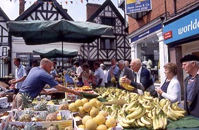 Fresh Produce from the Market