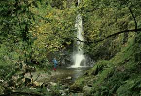 Pistyll Rhaeadr , near Oswestry